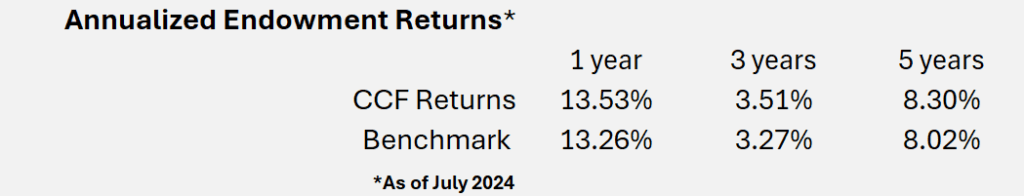 Annualized Endownment Updated