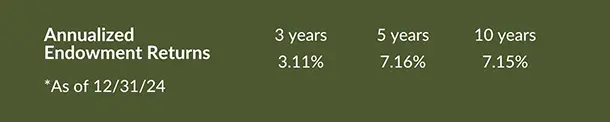 Endowment Returns 2025